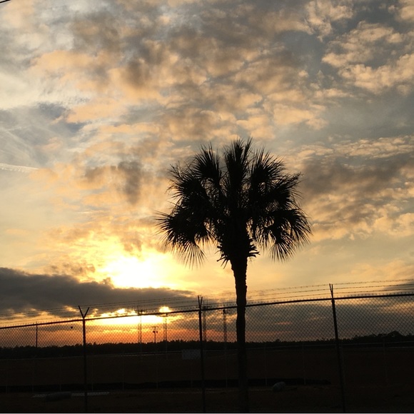 Meet your Posher, Amanda - Picture 3 of 5